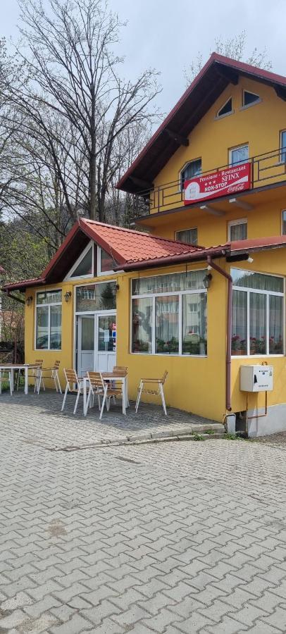Pensiune Restaurant Sfinx Busteni Ngoại thất bức ảnh